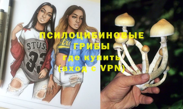 эйфоретик Верхний Тагил
